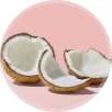 Coconut (Nariyal)